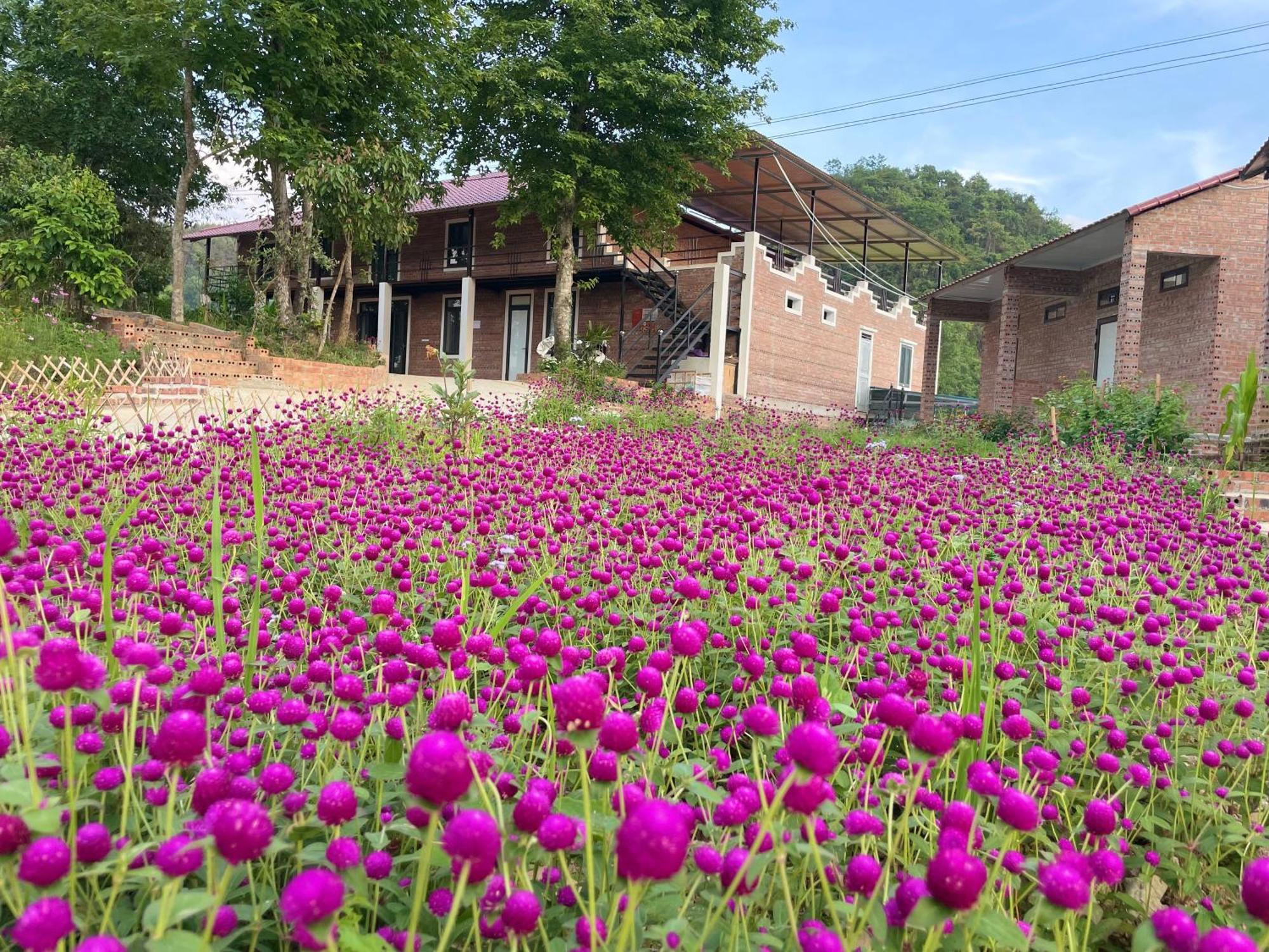 קאו באנג Riverside Homestay מראה חיצוני תמונה